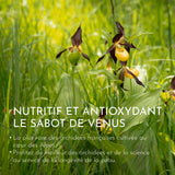 Sabot de vénus nutritif et antioxdant