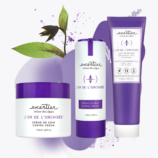 Kit - Routine French Aging